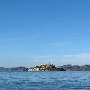 Meet your Posher, Sahara